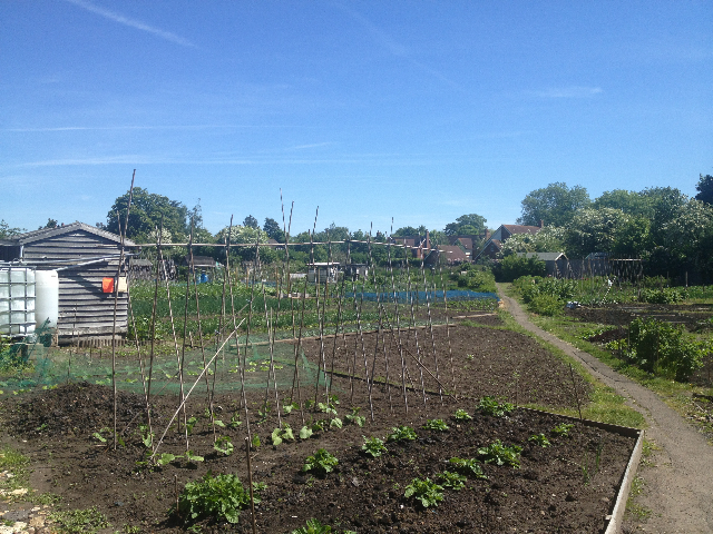 Jubilee Way (SM2) passing through allotments in the heart of the village.